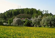 Koppeln Hof Fehrenberg