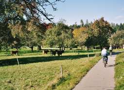 Radfahren im malerischen Bodensee-Hinterland