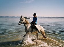 Ritt durchs Wasser: Bodenseeufer bei Meersburg